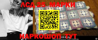 гидропоника Будённовск